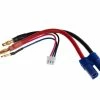 EP Câble De Raccordement Hardcase LiPo-Kabel EC5 à , - Accessoires RC -Kyosho Shop unnamed file 3856 scaled