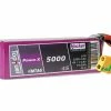 Hacker Batterie RC LiPo 5000 MAh 14,8 V 35C Pot Fuel Power-X MTAG - Accus 2 Hacker Batterie RC LiPo 5000 MAh 14,8 V 35C Pot Fuel Power-X MTAG - Accus -Kyosho Shop unnamed file 6073